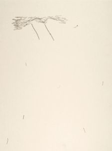Graphite on paper 2023, 28x21cm